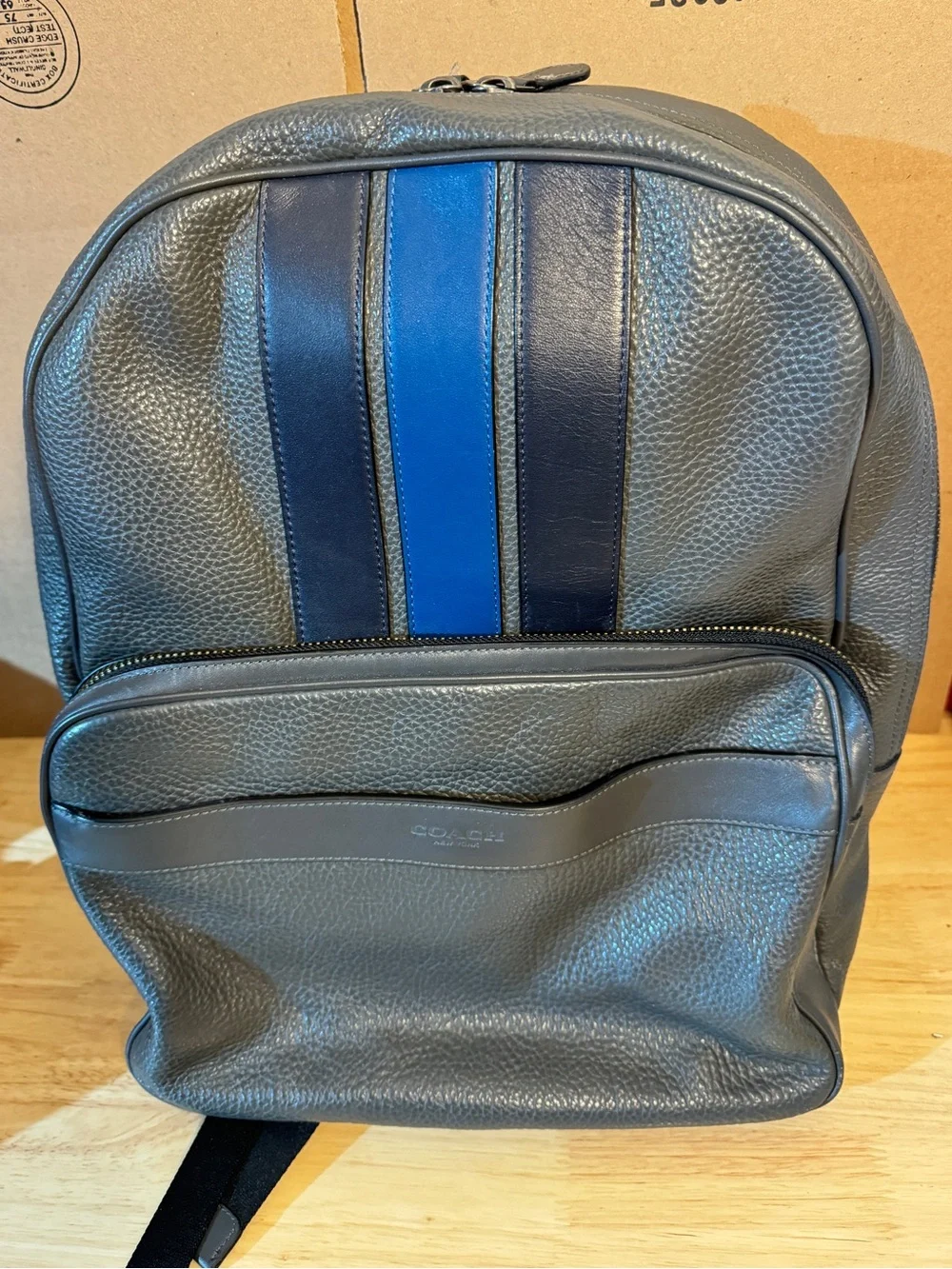 Coach Men's Gray Leather Backpack with Blue Stripe